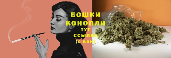 дживик Абаза
