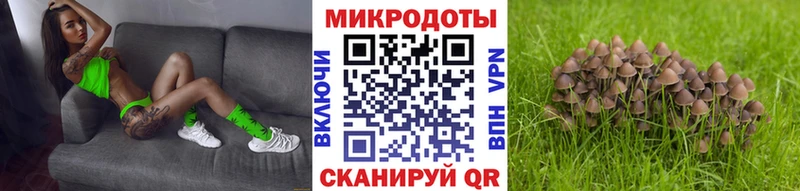hydra ССЫЛКА  маркетплейс телеграм  Псилоцибиновые грибы мицелий  Берёзовка 